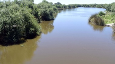 Denuncia ante la Justicia del uso ilegal de tierras en el humedal del arroyo El Pescado