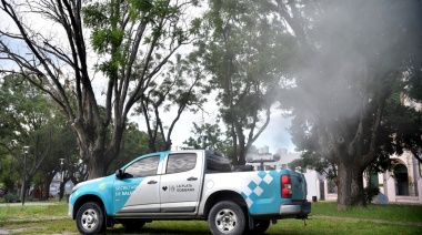 Invasión de mosquitos: profundizan la fumigación en barrios de la ciudad
