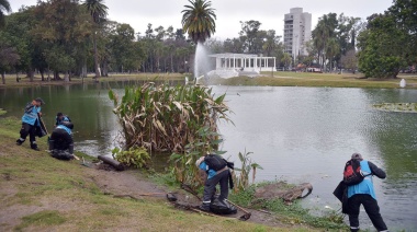 Avanza la limpieza y renovación del Parque Saavedra