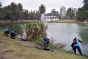 Avanza la limpieza y renovación del Parque Saavedra